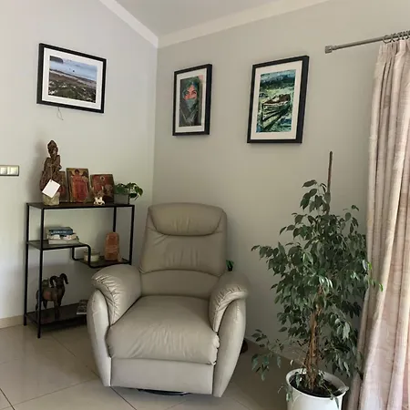 Artystyczna Sielanka Apartment *